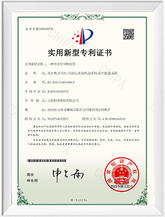 Patent Certificate
