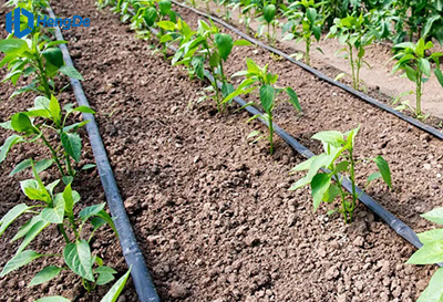 Black HDPE Pipe for Garden Irrigation
