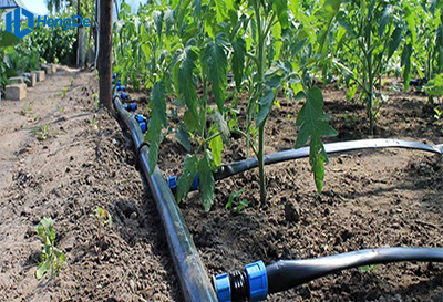 Black HDPE Pipe for Garden Irrigation